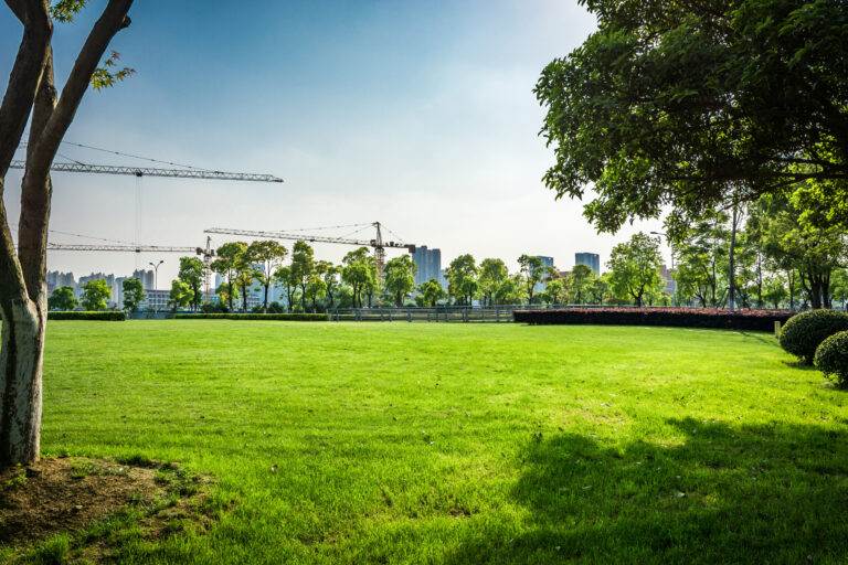 Landscaping Challenges Unique to Coastal Areas like Santa Cruz