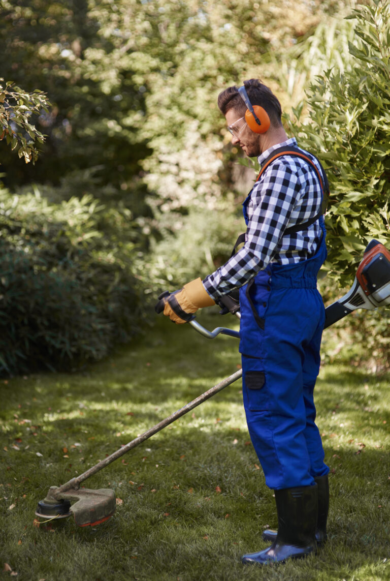 Seasonal Landscaping Checklist for Sacramento Properties