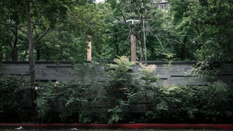 Photo Greenery Wall